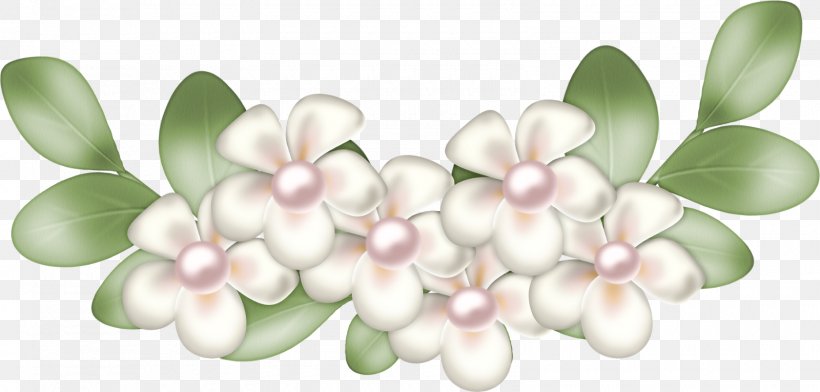 Animation Drawing Jessica, PNG, 1600x765px, Animation, Blog, Blossom, Cut Flowers, Drawing Download Free