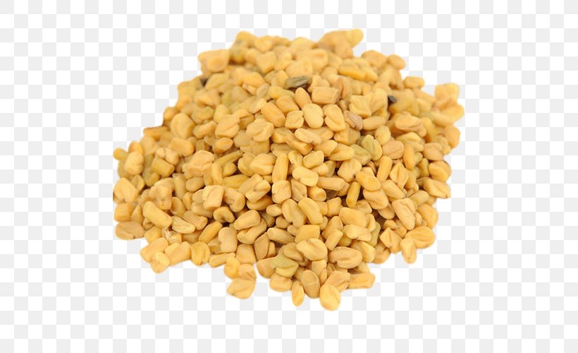 Fenugreek Indian Cuisine Ancient Roman Cuisine Food Sprouting, PNG, 500x500px, Fenugreek, Ancient Roman Cuisine, Cereal Germ, Commodity, Culinary Art Download Free