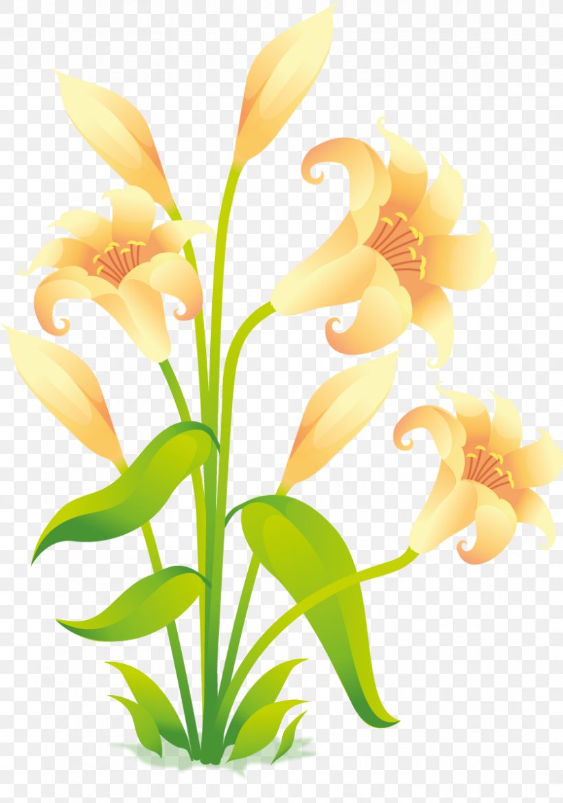 Flower Easter Lily Clip Art, PNG, 836x1191px, Flower, Aquarium Decor, Calas, Canna Family, Canna Lily Download Free