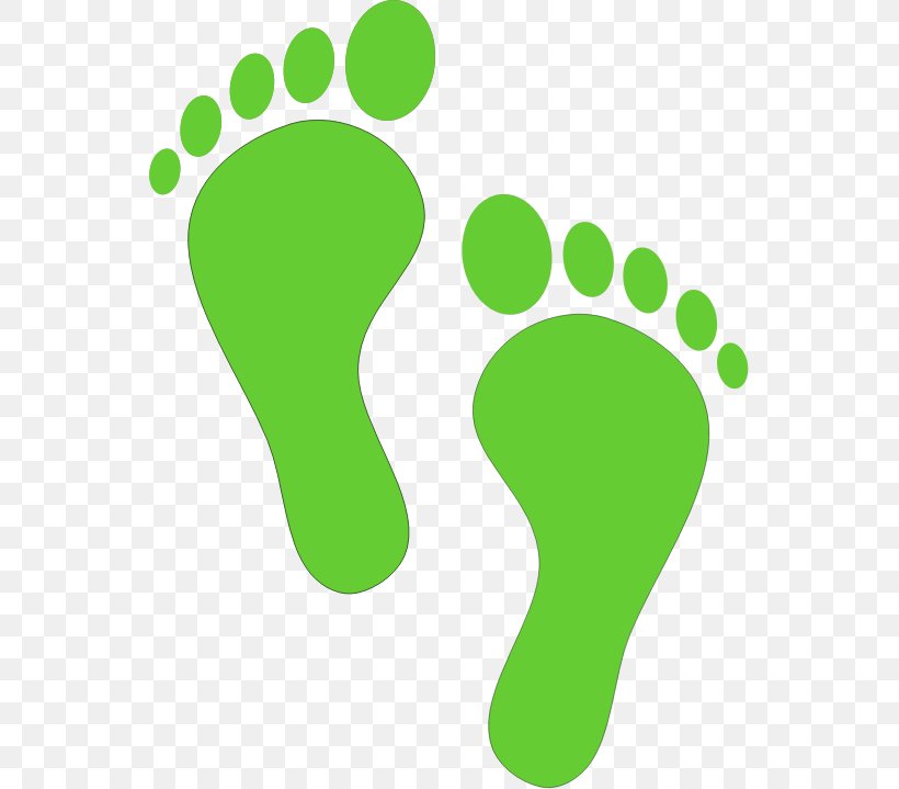 Footprint Royalty-free Clip Art, PNG, 547x719px, Footprint, Area, Document, Drawing, Foot Download Free