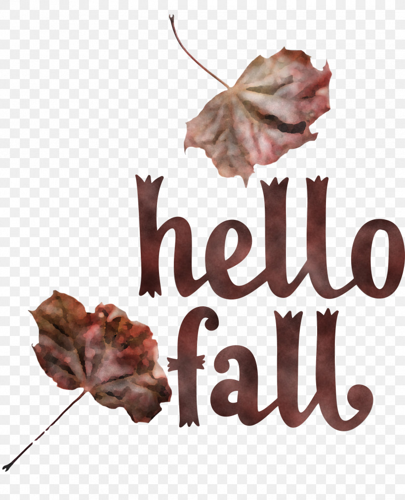 Hello Fall Fall Autumn, PNG, 2429x3000px, Hello Fall, Autumn, Fall, Flower, Meter Download Free