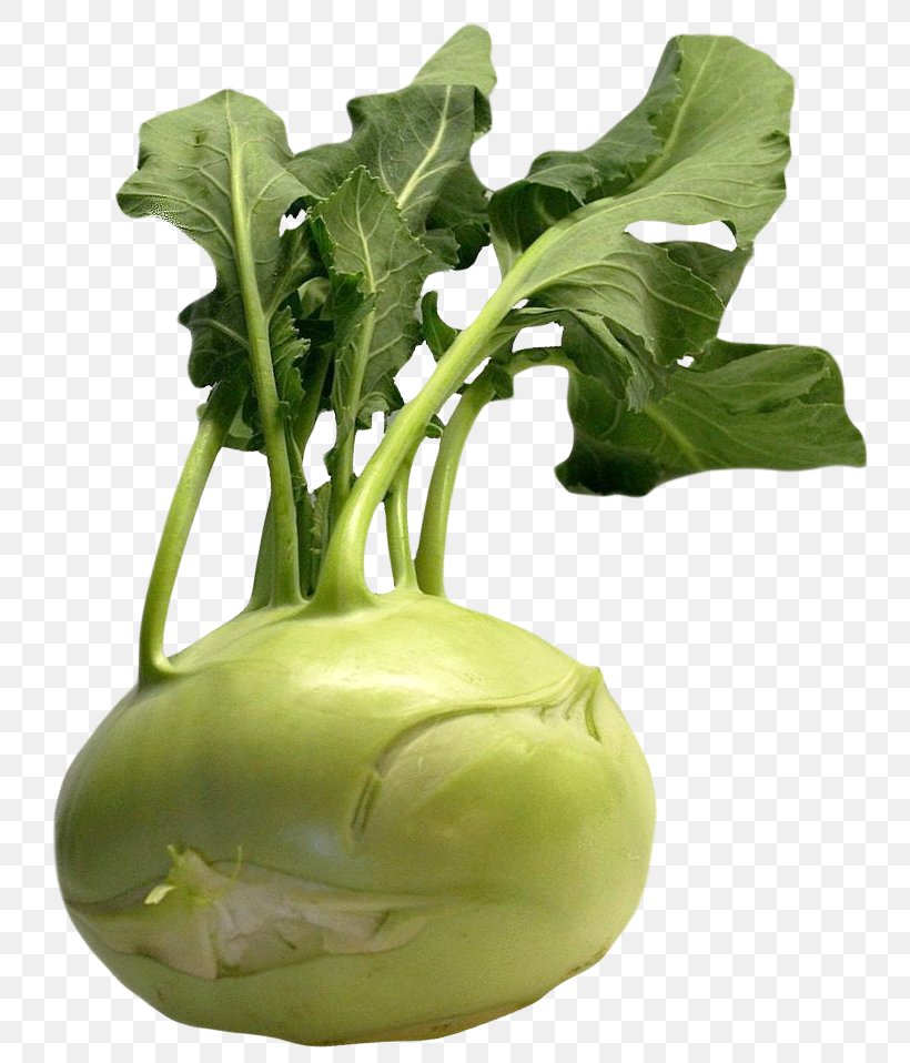 Kohlrabi Red Cabbage Cauliflower Aloo Gobi, PNG, 776x958px, Kohlrabi, Bok Choy, Brassica Oleracea, Brussels Sprout, Cabbage Download Free