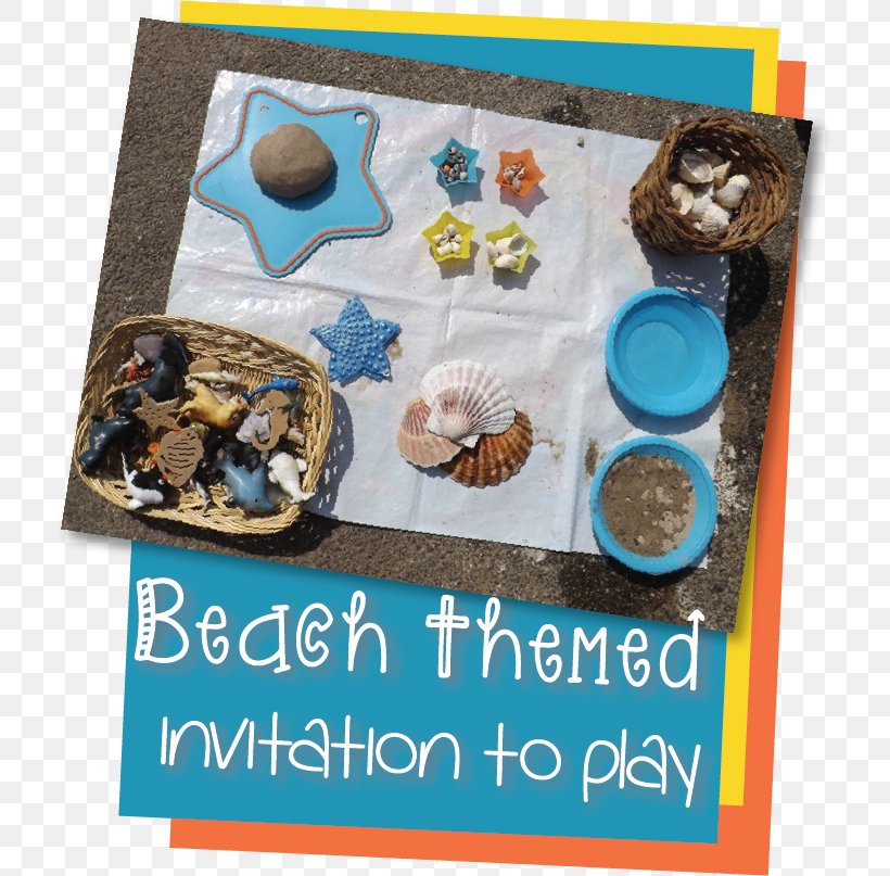 Ocean Seashell Seawater Animal, PNG, 724x807px, Ocean, Animal, Beach, Child, Kindergarten Download Free