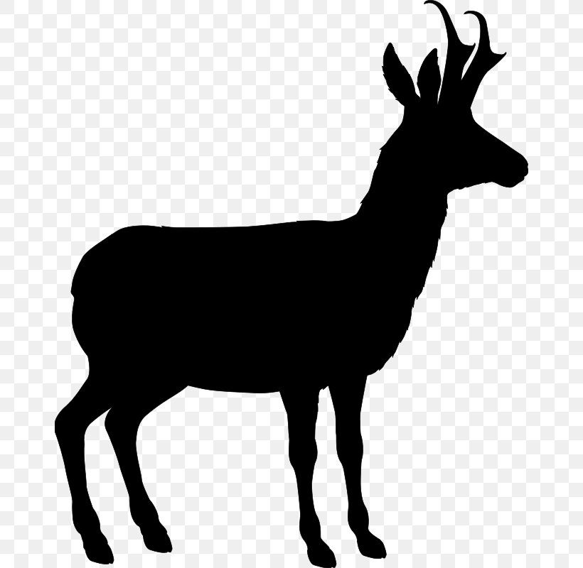 Sika Deer Vector Graphics Silhouette Gemsbok, PNG, 666x800px, Deer, Animal, Antelope, Chamois, Decal Download Free
