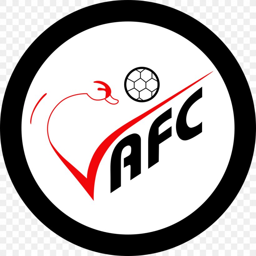 Valenciennes FC Chamois Niortais F.C. Football Lille OSC, PNG, 1024x1024px, Valenciennes Fc, Area, Brand, Car Rental, Football Download Free
