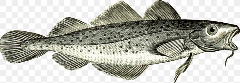 Cod Fisheries Cod Fisheries Fish And Chips Clip Art, PNG, 2400x830px, Cod, Atlantic Cod, Cod Fisheries, Dried And Salted Cod, Fauna Download Free