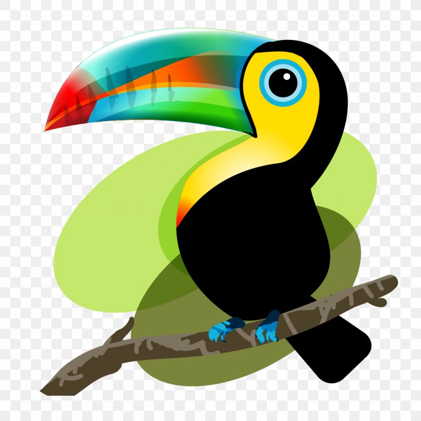 Iquitos Bird Baby Toucan: Mama And Papa Toucan Decide To Adopt Frog, PNG, 1000x1000px, Iquitos, Animal, Animation, Beak, Bird Download Free