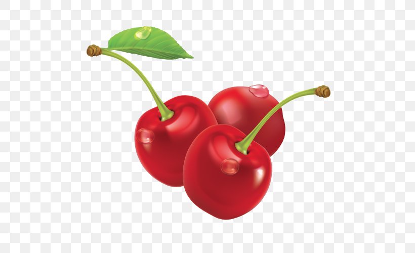 Barbados Cherry Electronic Cigarette Aerosol And Liquid Nicotine, PNG, 500x500px, Barbados Cherry, Accessory Fruit, Acerola, Acerola Family, Bell Peppers And Chili Peppers Download Free