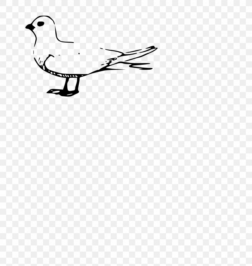 Gulls Duck Bird Clip Art, PNG, 2400x2540px, Gulls, Area, Beak, Bird, Black And White Download Free