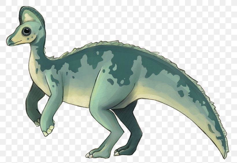 Lambeosaurus Velociraptor Late Cretaceous Lambeosaurinae Dinosaur, PNG, 800x563px, Lambeosaurus, Animal, Animal Figure, Cymbospondylus, Dinosaur Download Free