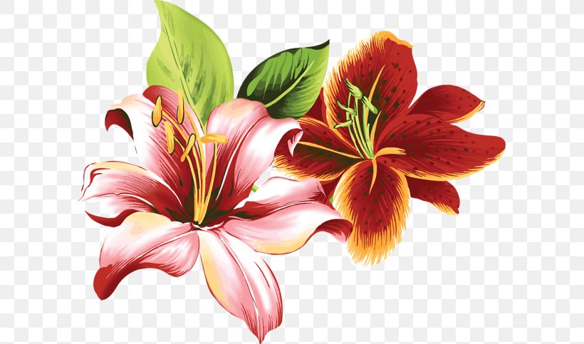 Lilium Flower Daylily Floral Design Clip Art, PNG, 600x483px, Lilium, Art, Child, Color, Coloring Book Download Free