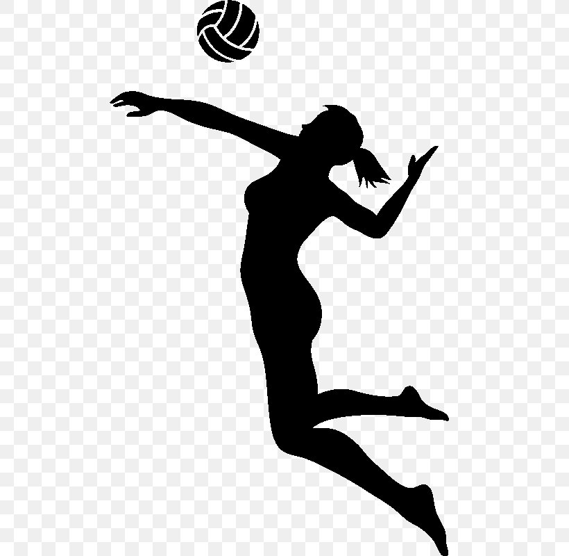 Volleyball VC Zenit-Kazan Sport VC Belogorie, volleyball, game, hand, logo  png | PNGWing