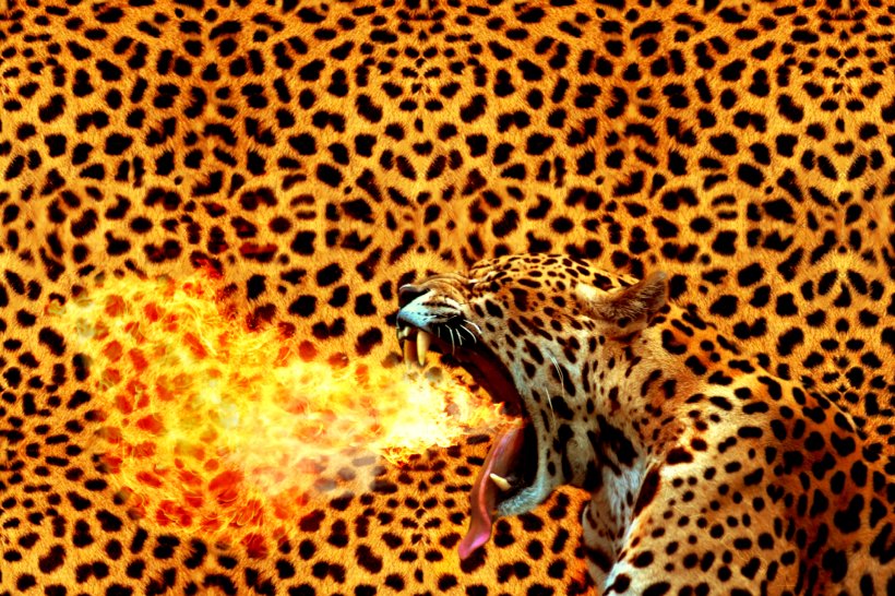 Leopard Cheetah Animal Print Wedding Invitation Throw Pillows, PNG, 1920x1280px, Leopard, Animal, Animal Print, Animal Track, Big Cats Download Free