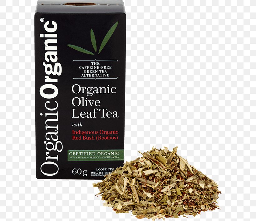 Nilgiri Tea Hōjicha Olive Leaf, PNG, 600x708px, Tea, Ageing, Antioxidant, Bancha, Dianhong Download Free