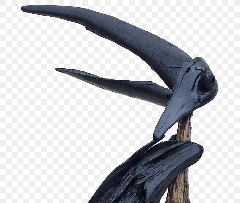 Work Of Art Pacific Driftwood, PNG, 720x695px, Art, Beak, Driftwood, Pacific, River Download Free