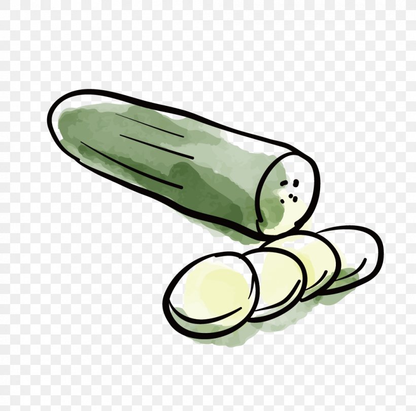 Cucumber hand drawn vector sketch illustration  Stock Illustration  72070593  PIXTA