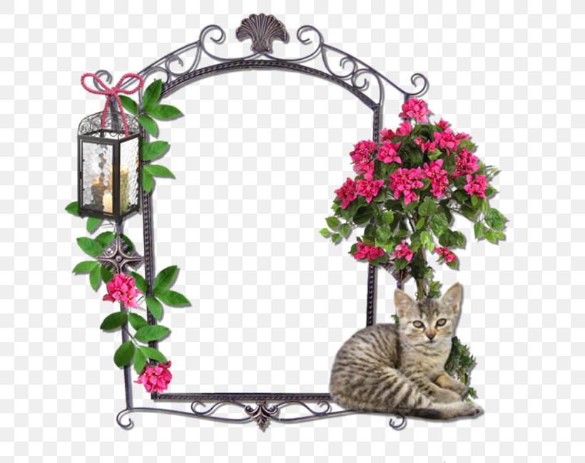 Picture Frame Photography Clip Art, PNG, 650x650px, Picture Frame, Dia, Flora, Floral Design, Flower Download Free