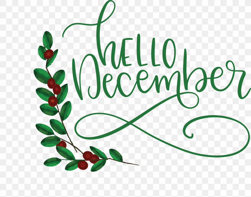 Hello December Winter, PNG, 3000x2354px, Hello December, Floral Design, Fruit, Geometry, Leaf Download Free