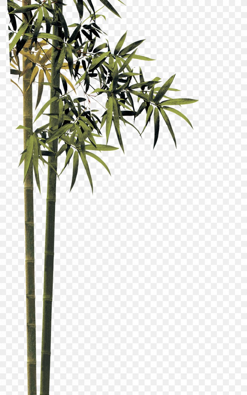 Qingming Bamboo, PNG, 1000x1600px, Qingming, Bamboo, Bmp File Format, Branch, Flora Download Free