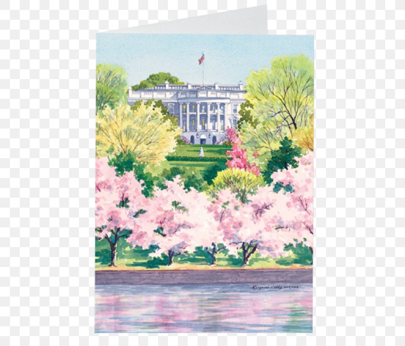 White House Earring Tidal Basin National Cherry Blossom Festival, PNG, 700x700px, White House, Blossom, Cherry, Cherry Blossom, Earring Download Free