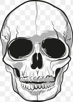 Skull Drawing Stencil Illustrator Illustration, PNG, 564x729px ...