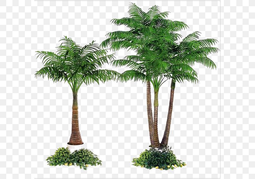 Areca Palm Date Palm Arecaceae Tree Fiberglass, PNG, 600x577px, Areca Palm, Alibaba Group, Arecaceae, Arecales, Date Palm Download Free