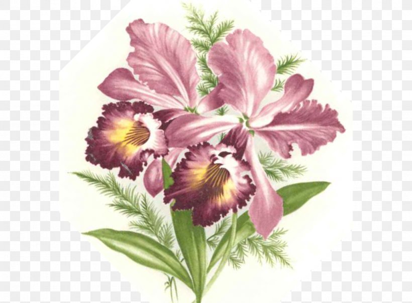 Floral Design Cut Flowers Violet Petal, PNG, 1024x754px, Floral Design, Cut Flowers, Family, Flower, Flower Arranging Download Free