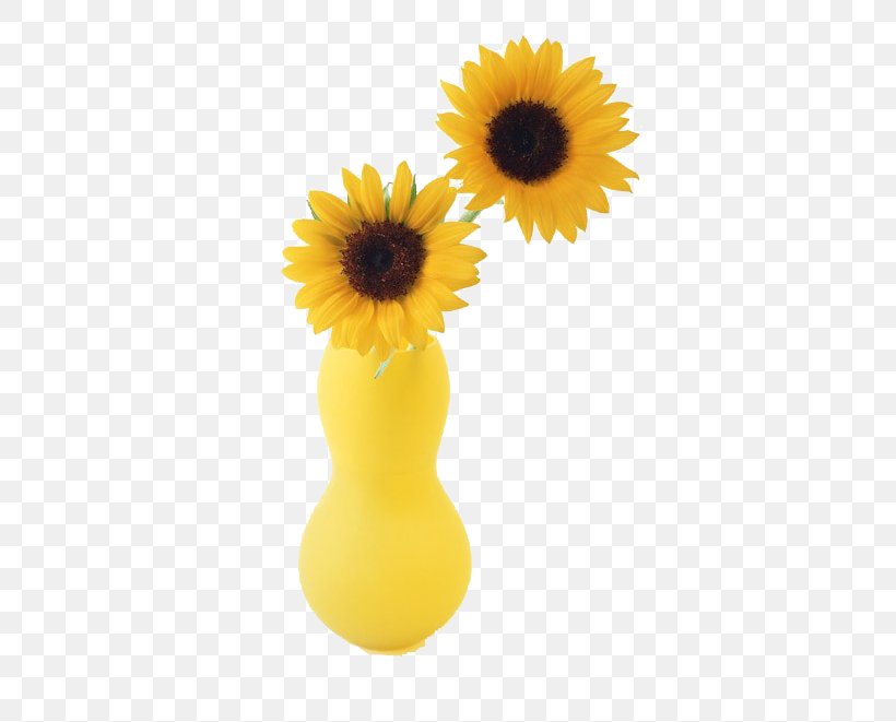 Two Cut Sunflowers Common Sunflower Vase, PNG, 605x661px, Two Cut Sunflowers, Common Sunflower, Daisy Family, Flower, Flowering Plant Download Free