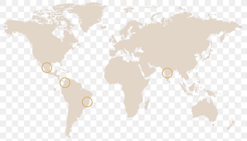 World Political Map World Map Globe, PNG, 800x468px, World, Blank Map, Globe, Map, Mapa Polityczna Download Free