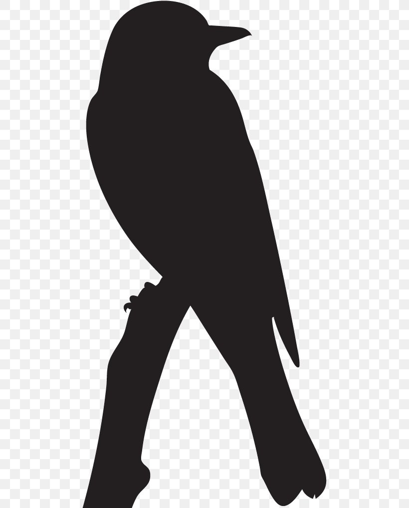 Birds Silhouette, PNG, 491x1018px, Bird, All About Birds, Beak, Blackandwhite, Bluebirds Download Free