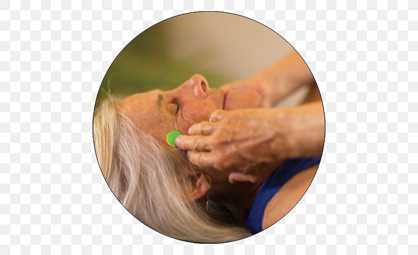 Dog Finger Massage Alternative Health Services Snout, PNG, 600x500px, Dog, Alternative Health Services, Arm, Chiropractor, Dog Like Mammal Download Free