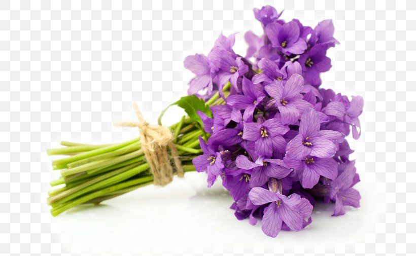 Flower Bouquet English Lavender Violet Cut Flowers, PNG, 782x505px, Flower Bouquet, Branch, Bride, Cut Flowers, Depositphotos Download Free