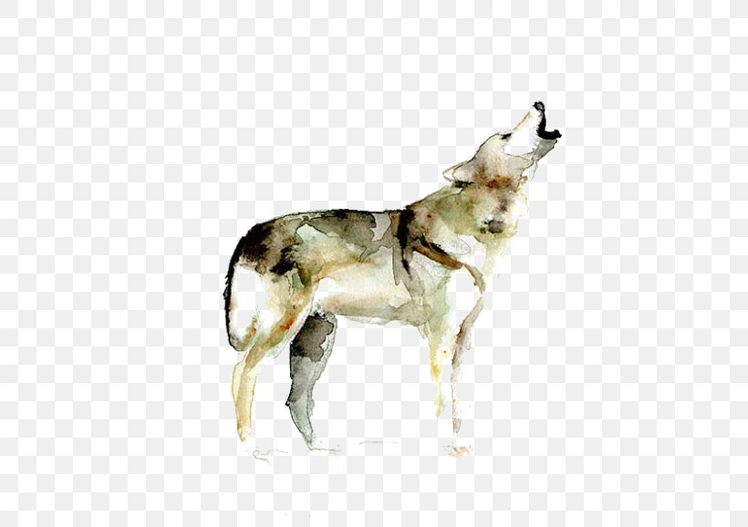 Gray Wolf Watercolor Painting Printmaking Drawing, PNG, 564x578px, Gray Wolf, Art, Carnivoran, Dog, Dog Breed Download Free