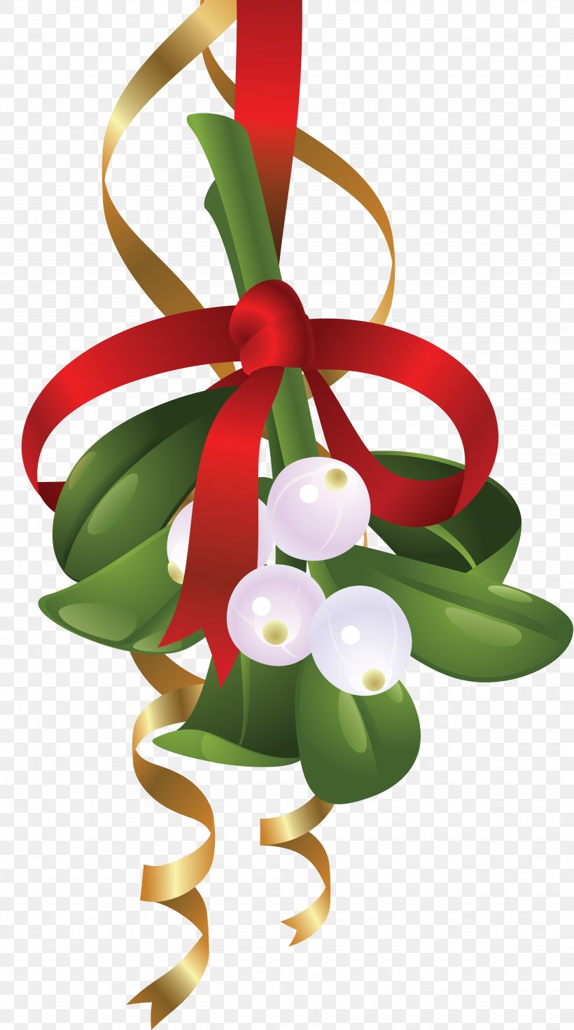 Mistletoe Clip Art Illustration Image, PNG, 3493x6262px, Mistletoe, Anthurium, Christmas Day, Christmas Decoration, Christmas Ornament Download Free