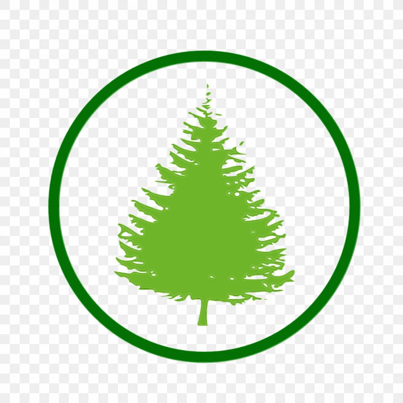 Christmas Tree, PNG, 1920x1920px, Watercolor, Christmas Decoration, Christmas Tree, Colorado Spruce, Conifer Download Free