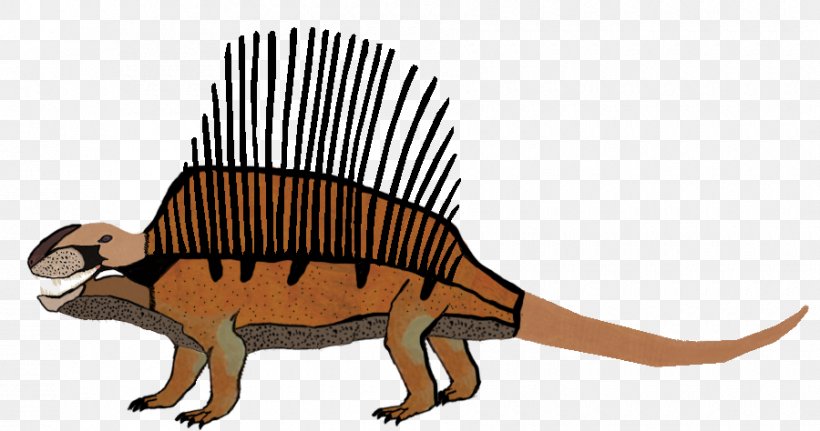 Dimetrodon Euparkeria Diplocaulus Ophiacodon Synapsid, PNG, 900x474px, Dimetrodon, Animal, Animal Figure, Carnivora, Carnivoran Download Free