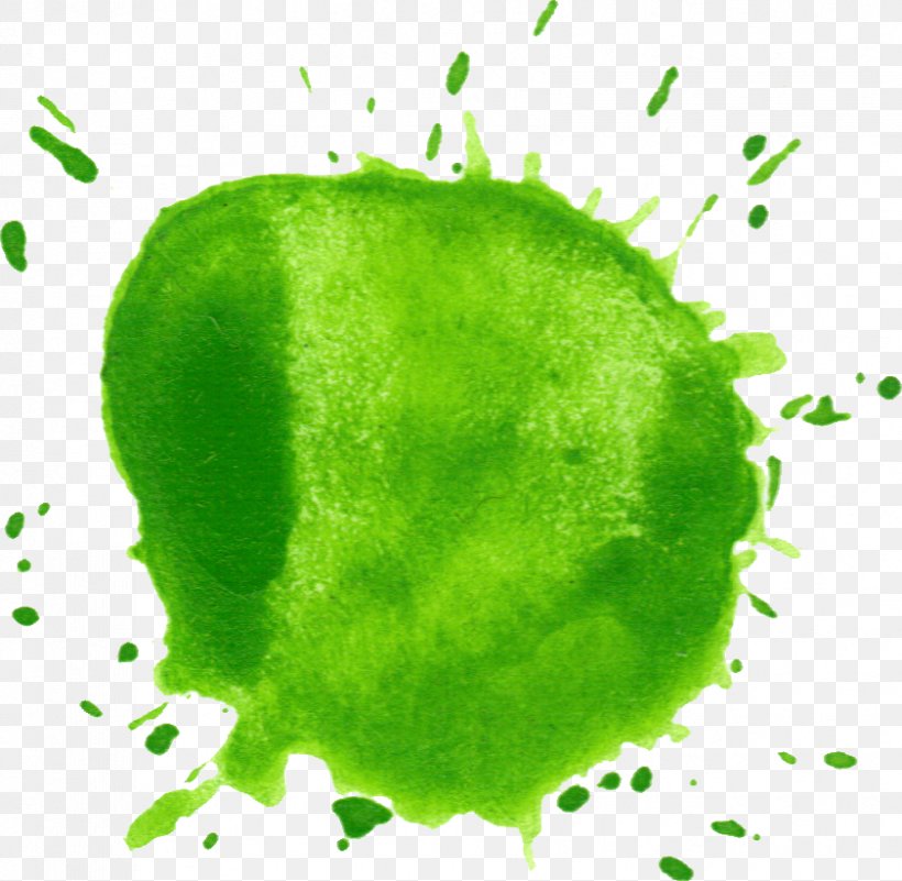 Ketegan Watercolor Painting Green, PNG, 841x822px, Watercolor Painting, Blog, Citrus, Color, Deviantart Download Free