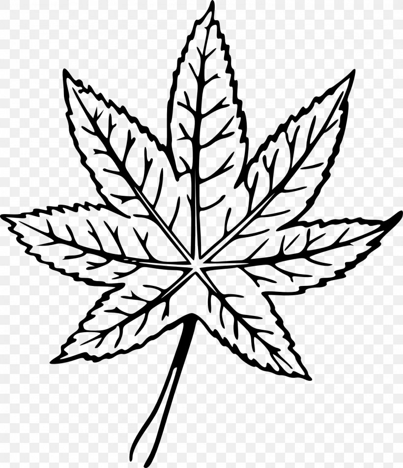 Leaf Line Art Drawing, PNG, 1500x1740px, Leaf, Art, Black And White, Coloring Book, Drawing Download Free