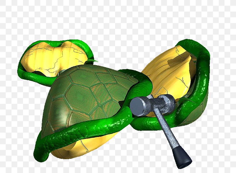 Turtle Tortoise .pptx, PNG, 800x600px, Turtle, Computer Software, Fugu, Pptx, Reptile Download Free