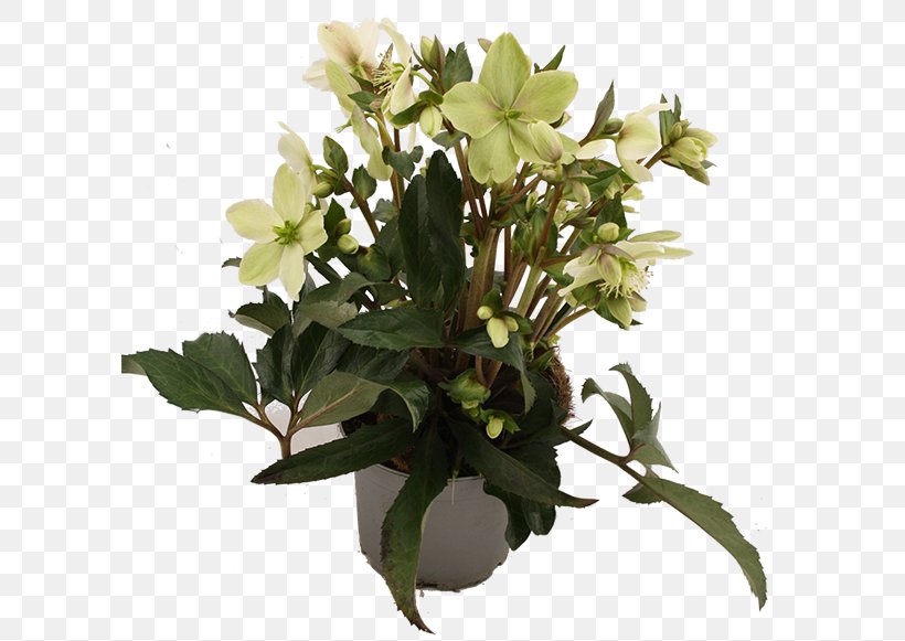 Floral Design Cut Flowers Flowerpot Flower Bouquet, PNG, 600x581px, Floral Design, Artificial Flower, Branch, Cut Flowers, Floristry Download Free