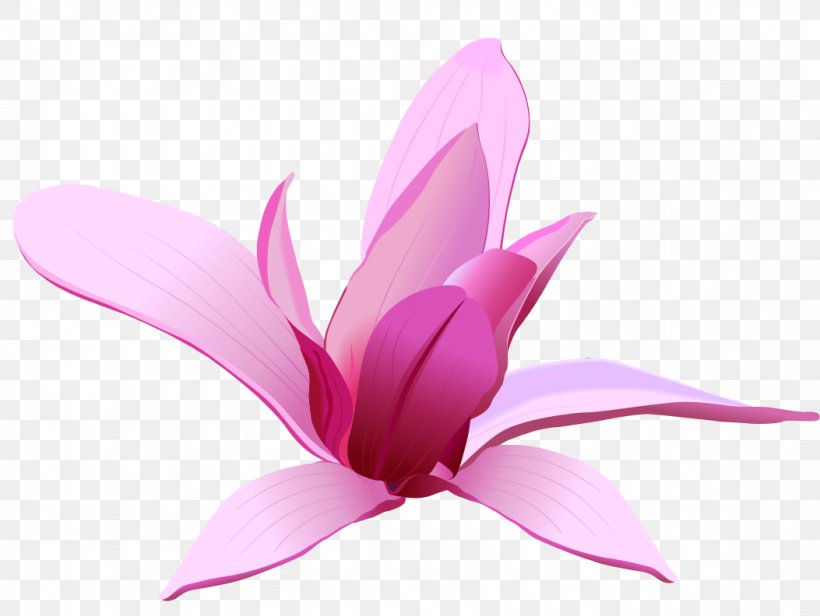 Flower Art Clip Art, PNG, 1053x792px, Flower, Aquatic Plant, Art, Floral Design, Flowering Plant Download Free