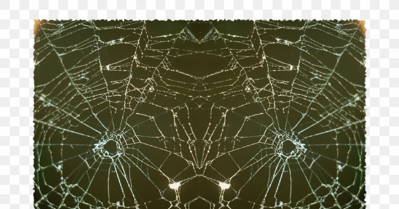 World Wide Web Spider Web Email Text Messaging, PNG, 1200x630px, Spider Web, Address, Blog, Email, Email Address Download Free