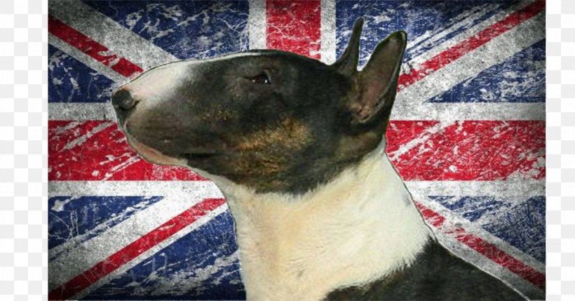 Flag Of England Flag Of The United Kingdom Flag Of Great Britain, PNG, 1200x628px, England, Bull Terrier, Bull Terrier Miniature, Carnivoran, Digital Printing Download Free