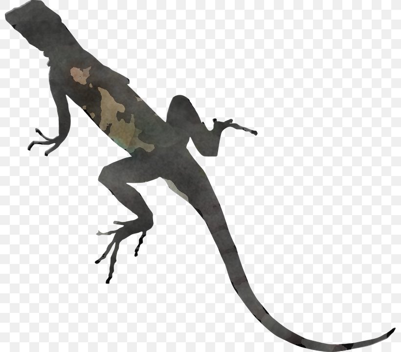 Lizard Reptile Scaled Reptile Gecko Dragon Lizard, PNG, 799x720px, Lizard, Animal Figure, Dragon Lizard, Gecko, Iguania Download Free