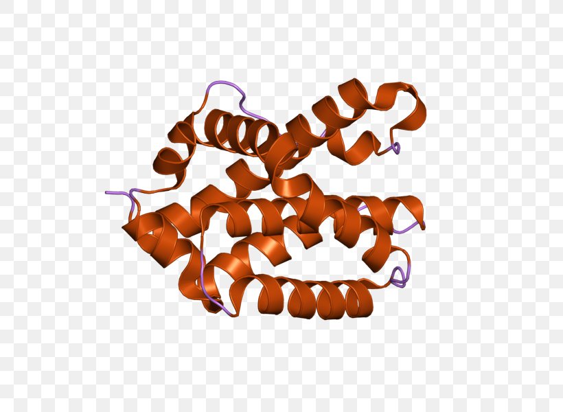 Bcl-2 Homologous Antagonist Killer Apoptosis Chromosome 6 Gene, PNG, 800x600px, Bcl2 Homologous Antagonist Killer, Apoptosis, Cell, Chromosome, Chromosome 6 Download Free