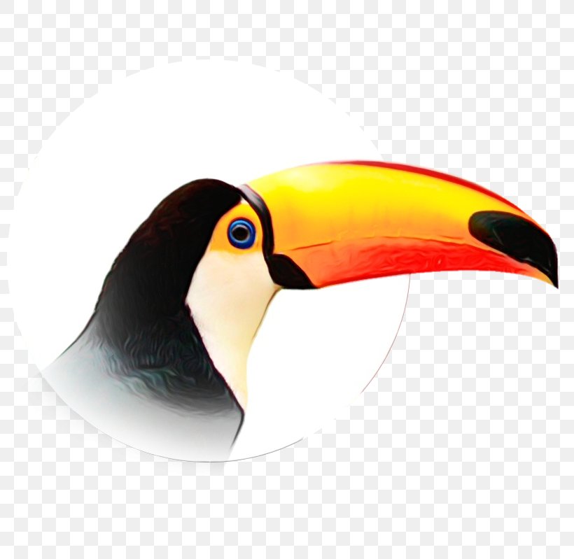 Bird Cartoon, PNG, 799x799px, Toucan, Beak, Bird, Piciformes Download Free
