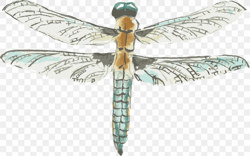 Dragonfly Watercolor Painting Drawing, PNG, 2467x1546px, Dragonfly, Art, Arthropod, Dragonflies And Damseflies, Drawing Download Free