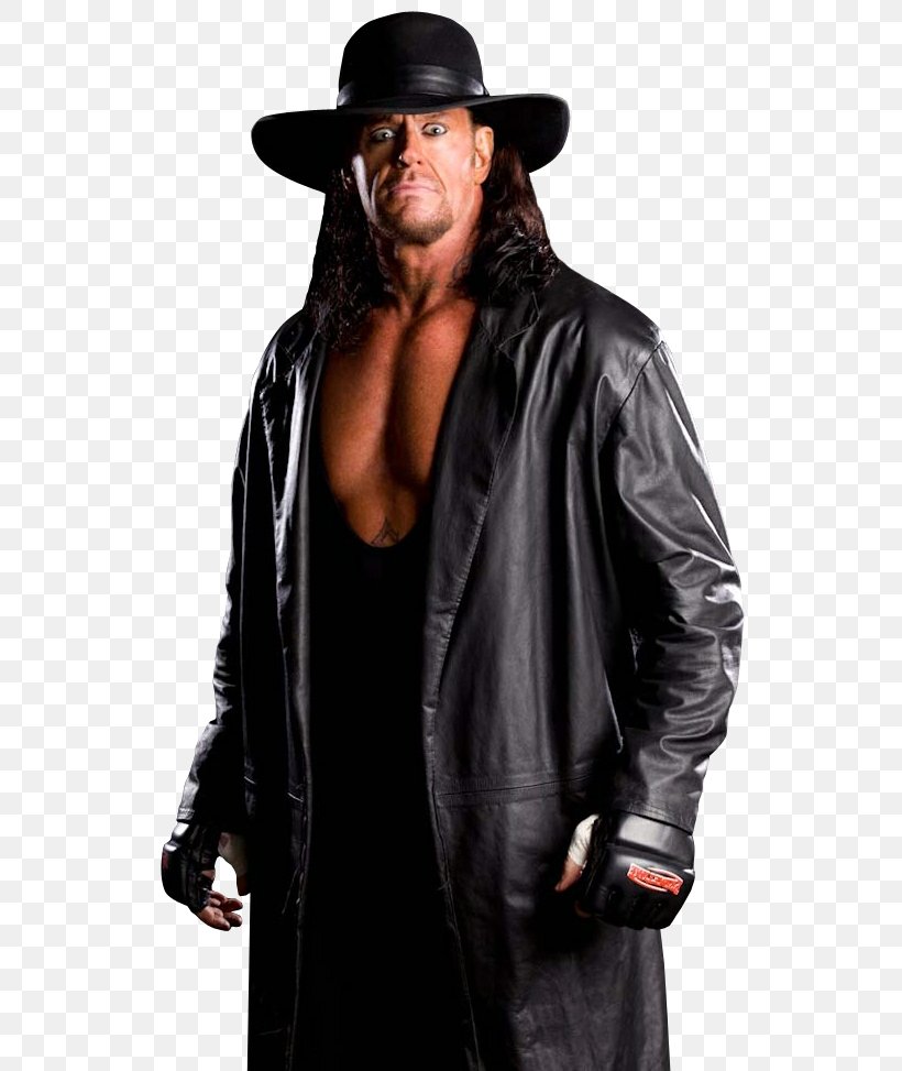 The Undertaker WrestleMania XXIV Survivor Series WWF Raw Professional Wrestler, PNG, 550x973px, Watercolor, Cartoon, Flower, Frame, Heart Download Free