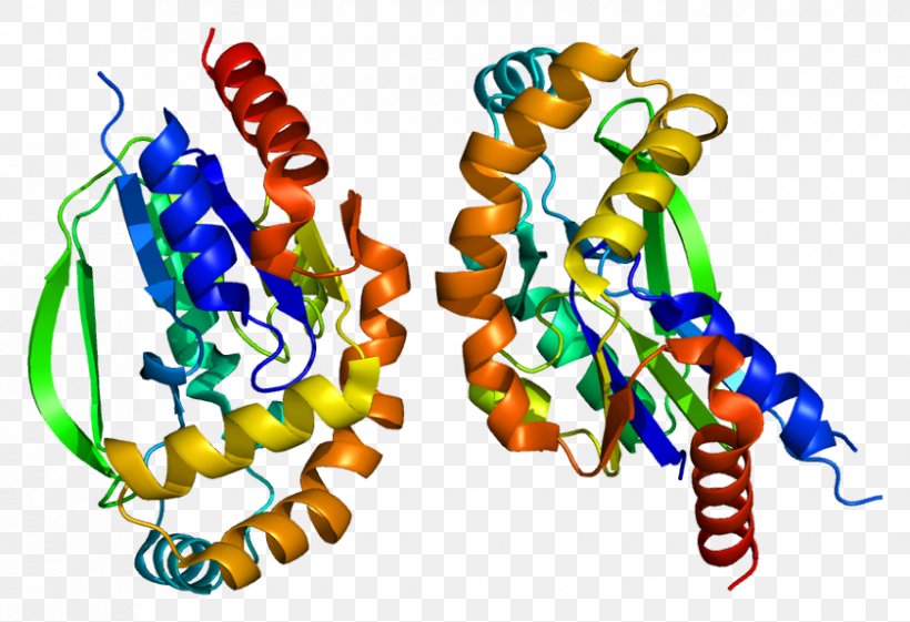UCK2 Protein Kinase MECP2 Receptor Tyrosine Kinase, PNG, 840x575px, Watercolor, Cartoon, Flower, Frame, Heart Download Free