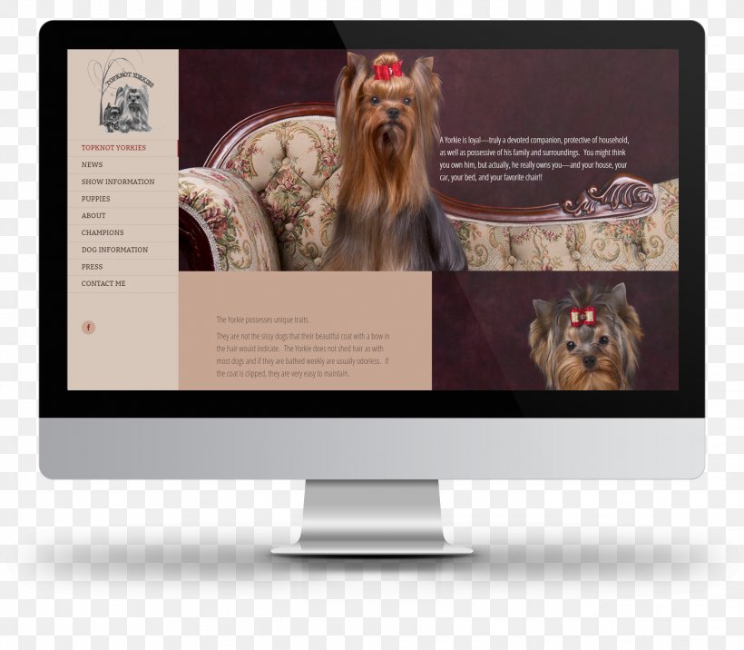 Web Design Web Development Graphic Design, PNG, 2232x1950px, Web Design, Brand, Carnivoran, Dog Like Mammal, Graphic Designer Download Free